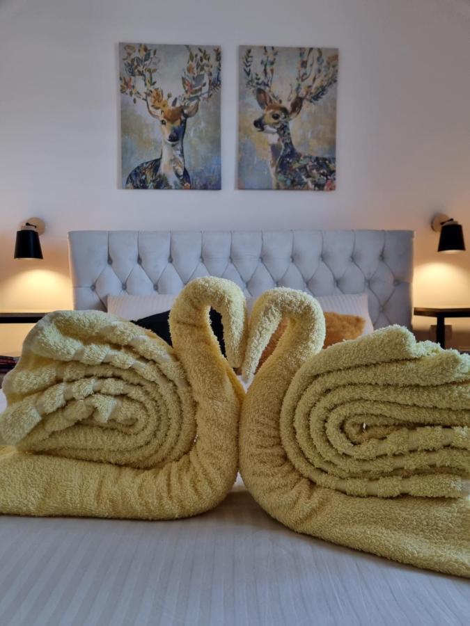 Zlatar Holidays Apartmani Nova Varoš Buitenkant foto
