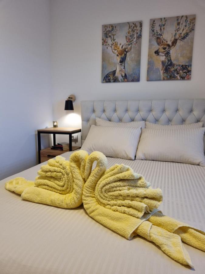 Zlatar Holidays Apartmani Nova Varoš Buitenkant foto